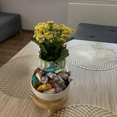 アパート W Centrum Malborka *