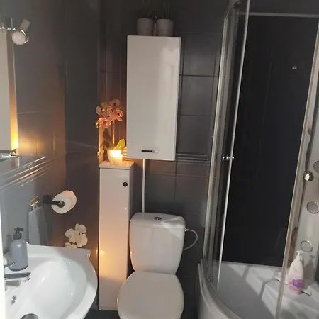 W Centrum Malborka アパート