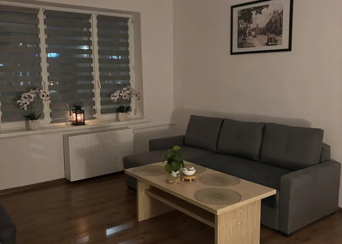 W Centrum Malborka *